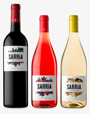 Leave A Comments Cancel Reply - Bodega Palacio De Bornos Señorio De Sarria Rosado 2016