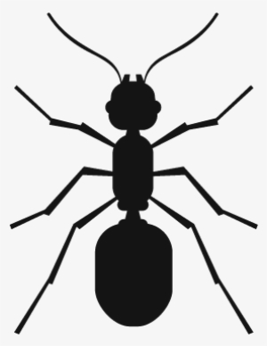 Icono-hormiga - Termite Queen Clipart Black And White Png