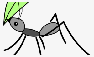 Picaduras De Hormiga - Ant Carrying Leaf Cartoon