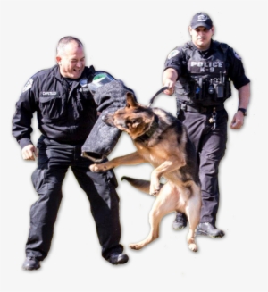 Police