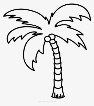 Dibujo De Palmera Para Colorear Ultra Coloring Pages - Palm Tree Outline Png