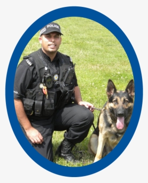 Through All Of Our Fundraising Efforts And As Creators - Old German Shepherd Dog