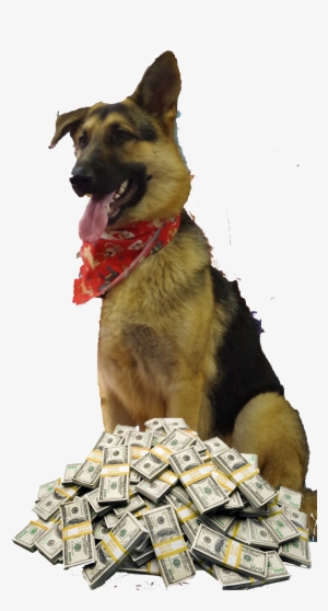 2014 Raffle Dog Image
