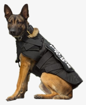 Proudly Protecting Those Who Protect Us - Police Dog Png