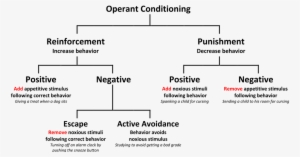 What Is 'negative Reinforcement' Definition And Real-world - Define Positive Punishment