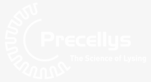 Precellys Lg White - Dwight Morrow High School Logo