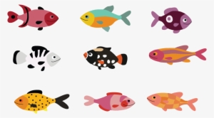 Individual Fish Sample Chelsea Lemon - Coral Reef Fish