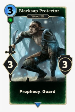 Blacksap Protector - Elder Scrolls Legends Dragonborn