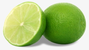 Descripción - Pati Lebu