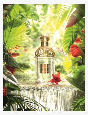 Guerlain Aqua Allegoria Limon Verde 75ml Eau De Toilette - Aqua Allegoria