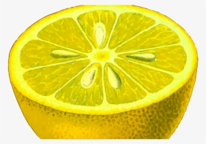 Venenos Caseros Para Garrapatas