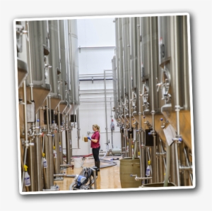 Brew Bus Brewing - Beer