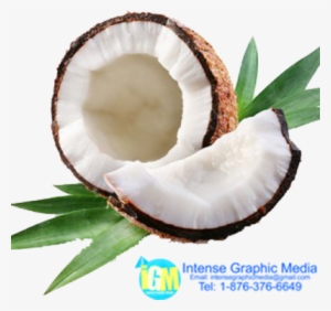 Coconut Vector Png For Kids - Coconut Oil: Teach Me Everything I Need