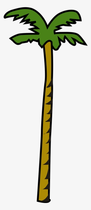 Vector Graphics,free Pictures, Free - Coconut Tree Clipart