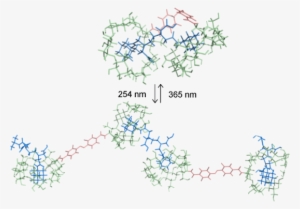 Proposed Structures Of Inclusion Complexes With The - Diagram
