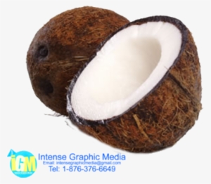 Broken Coconut Psd - Grounded Coconut Transparent Bg