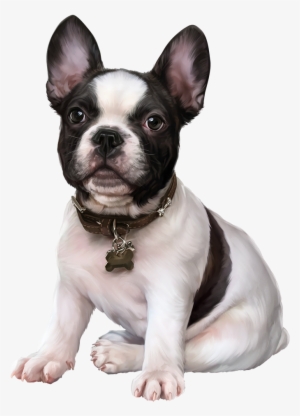 French Bulldog, Puppy Images, Clip Art, Cute Dogs, - 3d Tubes Dog