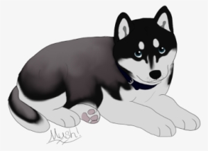 Character Design Shop - Mackenzie River Husky