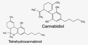 Thc Basically Mimics And Works Like The Natural Neurotransmitter - Thc Vs Cbd Chemical Structure