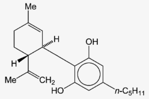 Everyone Knows That (−) Trans Δ9 Tetrahydrocannabinol - Delta 9