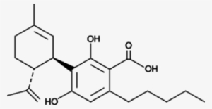 Cannabinoids Marijuana Knowledge Base - 4 Benzyloxy 2 Hydroxybenzaldehyde