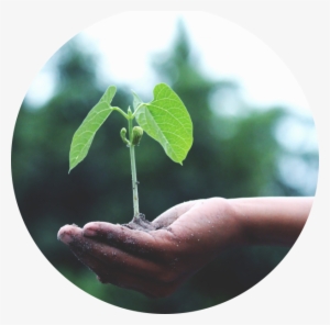 One Time Circle - Agriculture