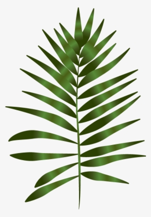 The Niki Whiting - Transparent Fern And Leaf Art