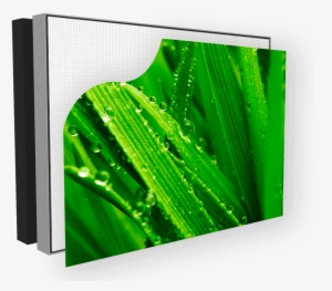 Single Sided - Graphic Design