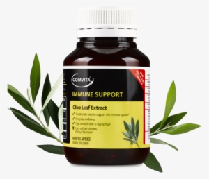 One A Day Olive Leaf Extract Capsules - Comvita Olive Leaf Extract High Strength 60 Capsules