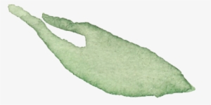 Single Leaf-2 - Leaf