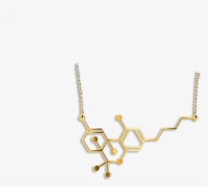Necklace- Thc Molecule - Necklace