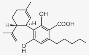 Molecules For Website Final 06 - Cannabidiolic Acid