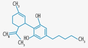 Until Recently, Thc Was Getting Most Of The Attention - Cannabidiol