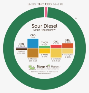 Steep Hill Strain Fingerprint For Sour Diesel - Strain Fingerprint