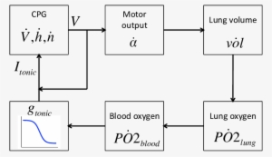 Schematic Of Closed-loop Control Circuit - Diagram