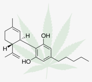 The Cannabis Compound At A Molecular Level - Molecola Cbd
