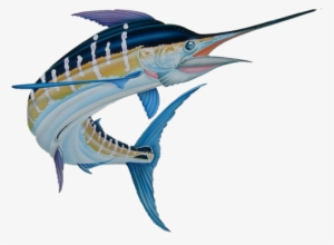 Marlin 1 R - Atlantic Blue Marlin
