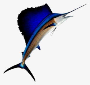 Sailfish - Pez Vela Vector Png