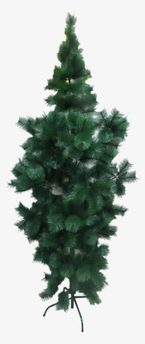 Inicio Festividades Navidad Árbol De Navidad Grande - 7ft Canadian Fir Tree Wilko