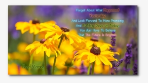 Good Morning Good Night Flower For Android - Quotes Images For Happy Father's Day With Nature