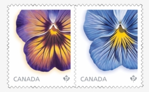 Laurie Koss Stamps - Canada Post Card Stamp Png
