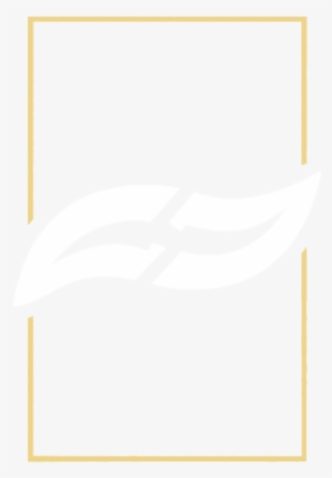 Jalokimgraphics Shop - Illustration