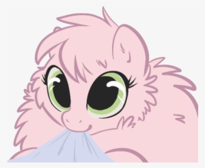 Pony Face Pink Nose Facial Expression Mammal Vertebrate - Cat