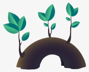 Tree Stump Branch Leaf Root - Tree