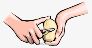 Hands Peeling Potatoes Royalty Free Vector Clip Art - Éplucher Une Pomme De Terre