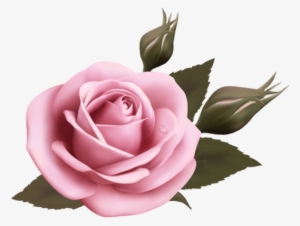 Цветок Розы, Красная Роза, Цветы - Rose Design On Wedding Cards