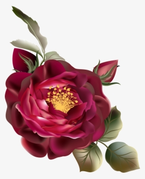 Png De Ornamentação De Cor De Rosa Vermelha - Vintage Flowers Png