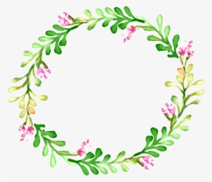 Os Elementos Decorativos Da Cor De Rosa Vermelha E