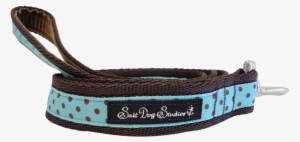Classic Brown On Aqua Polka Dot Ribbon Dog Lead - Strap