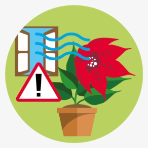 Colour - Png - Draughts